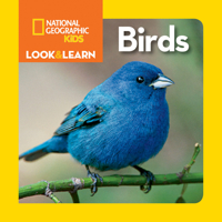 Look and Learn: Birds